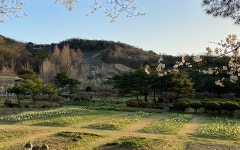 송산목장 | 문화관광 송산목장