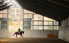 송산목장 | 문화관광 송산목장