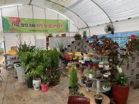 농촌체험 | 문화관광 농촌체험