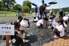 구정사진 | 광산구청 황룡강생태길 30 청춘들과 함께하는 꽃심기 행사