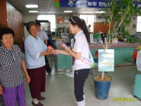 우리동 앨범 | 동행정복지센터 신가동 통장단 주민 창작 스튜디오 탐방