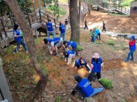 광산구청 (2024.05.25.) 삼성생명 임직원 가족봉사단 산정공원 맥문동산 조성 활동