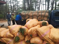 우리동 앨범 | 동행정복지센터 (2024.05.02.) 산정공원 맥문동산 조성위한 화초 후원식