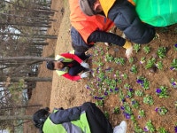 우리동 앨범 | 동행정복지센터 (2024.03.12.) 산정공원 꽃동산 조성활동