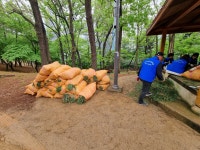 광산구청 (2024.04.26.) 산정공원 맥문동산 조성활동