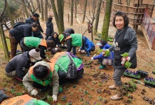 우리동 앨범 | 동행정복지센터 (2024.03.12.) 산정공원 꽃동산 조성활동