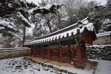 양씨삼강문 | 문화관광 양씨삼강문