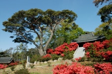 광산구청 호가정