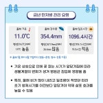 공지사항 > 소식과 참여 > 강원고성군 농업기술센터