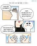 새소식 > 정보광장 > 강원고성군 보건소