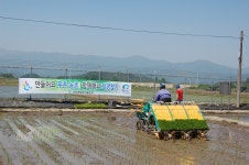 농업갤러리 > 소식과 참여 > 강원고성군 농업기술센터