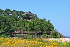 고성8경 > 볼거리 > 강원고성군 관광포털