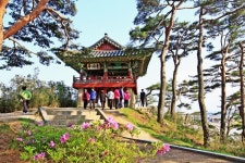 고성8경 > 볼거리 > 강원고성군 관광포털