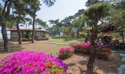 박물관/전시관 > 볼거리 > 강원고성군 관광포털