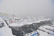 동해항포구 > 볼거리 > 강원고성군 관광포털