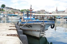 동해항포구 > 볼거리 > 강원고성군 관광포털