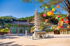 고성8경 > 볼거리 > 강원고성군 관광포털