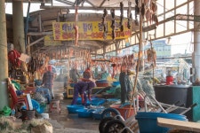 경제/해양 > 사진 홍보관 > 강원고성군 미디어홍보관