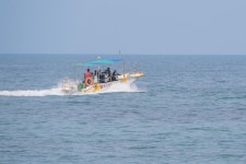 경제/해양 > 사진 홍보관 > 강원고성군 미디어홍보관