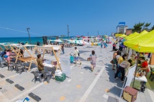 경제/해양 > 사진 홍보관 > 강원고성군 미디어홍보관