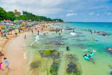 경제/해양 > 사진 홍보관 > 강원고성군 미디어홍보관