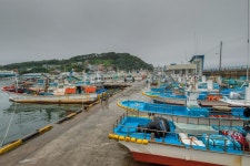 경제/해양 > 사진 홍보관 > 강원고성군 미디어홍보관