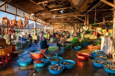 사진 홍보관 >				 																																																																																																						강원고성군 미디어홍보관