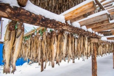 경제/해양 > 사진 홍보관 > 강원고성군 미디어홍보관