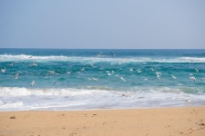 경제/해양 > 사진 홍보관 > 강원고성군 미디어홍보관