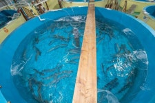 경제/해양 > 사진 홍보관 > 강원고성군 미디어홍보관