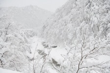 관광/체육 > 사진 홍보관 > 강원고성군 미디어홍보관