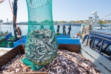 경제/해양 > 사진 홍보관 > 강원고성군 미디어홍보관