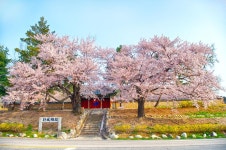 환경/수도 > 사진 홍보관 > 강원고성군 미디어홍보관