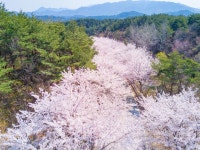 환경/수도 > 사진 홍보관 > 강원고성군 미디어홍보관