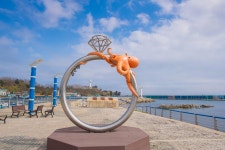 경제/해양 > 사진 홍보관 > 강원고성군 미디어홍보관