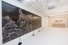 관광/체육 > 사진 홍보관 > 강원고성군 미디어홍보관