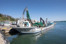 경제/해양 > 사진 홍보관 > 강원고성군 미디어홍보관