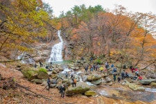 군정/행정 > 사진 홍보관 > 강원고성군 미디어홍보관