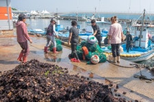 경제/해양 > 사진 홍보관 > 강원고성군 미디어홍보관