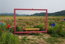 																																										 농업/산림 >				 																																																																							 사진 홍보관... 