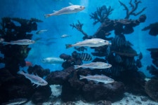 경제/해양 > 사진 홍보관 > 강원고성군 미디어홍보관