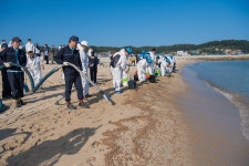 경제/해양 > 사진 홍보관 > 강원고성군 미디어홍보관