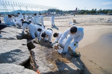 경제/해양 > 사진 홍보관 > 강원고성군 미디어홍보관