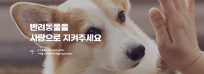 경주동물사랑보호센터 경주동물사랑보호센터, 경주동물사랑보호센터 홈페이지, 경주시