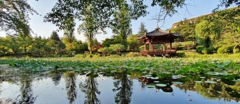 팔방미인 보문관광단지 여행 | 경주핵심여행코스 | 여행코스추천 | 경주 여행 | 경주문화관광 경주문화관광