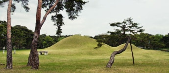 황룡사 마루길 자전거 여행 | 두바퀴로 누비는 경주 | 여행코스추천 | 경주 여행 | 경주문화관광 경주문화관광