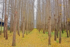 사계절 경주 | 테마여행 | 경주 여행 | 경주문화관광 경주문화관광