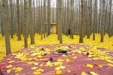 사계절 경주 | 테마여행 | 경주 여행 | 경주문화관광 경주문화관광