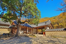 사계절 경주 | 테마여행 | 경주 여행 | 경주문화관광 경주문화관광