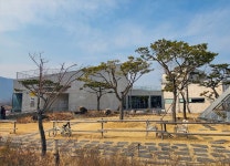 3월 경주, 감성 충전 | 2022년 | 이달의 추천여행지 | 경주 여행 | 경주문화관광 경주문화관광